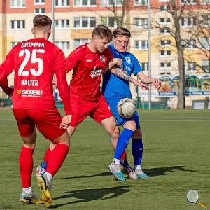 Foto: Bodo Hering / BFV 08